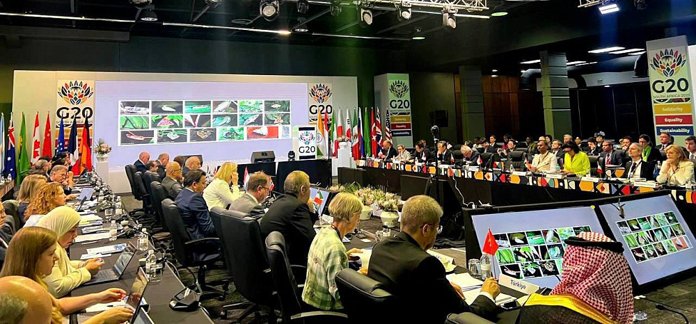 “Sochi Dialogue” Presented at the G20 Platform in South Africa